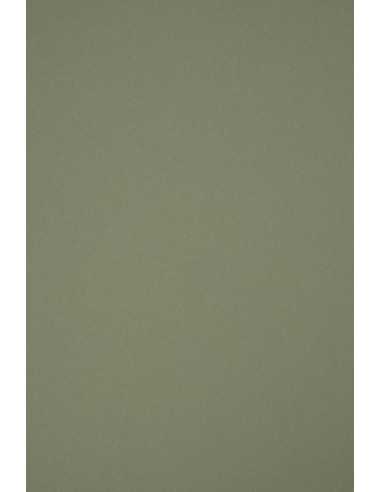 Ökologischer Bastelkarton Oliv DIN A4 (210 x 297 mm) 250 g/m² Materica Verdigris - 10 Stück