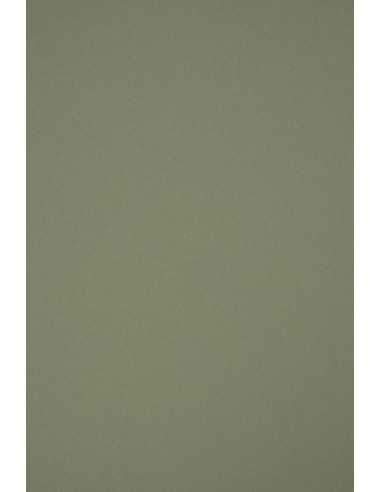 Ökologischer Bastelkarton Oliv DIN A5 (148 x 210 mm) 250 g/m² Materica Verdigris - 10 Stück