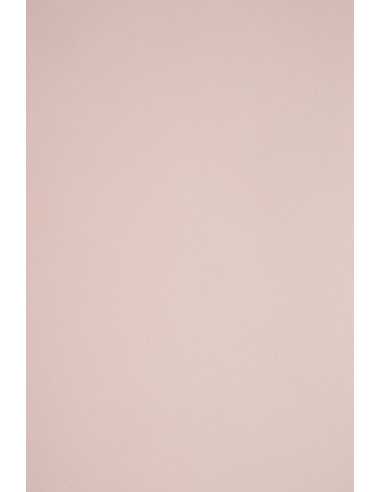 Bastelkarton Blassrosa DIN B1 (700 x 1000 mm) 290 g/m² Sirio Color Nude