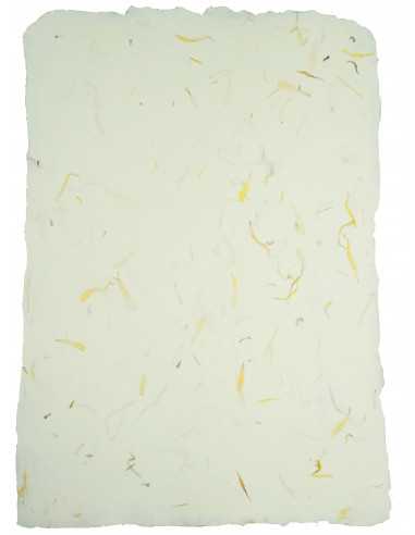 Büttenpapier Ringelblume DIN A4 (210 x 297 mm) 180 g/m² - 5 Stück