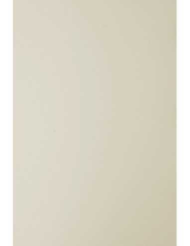 Bastelkarton Creme DIN A4 (210 x 297 mm) 210 g/m² Sirio Color Sabbia - 25 Stück