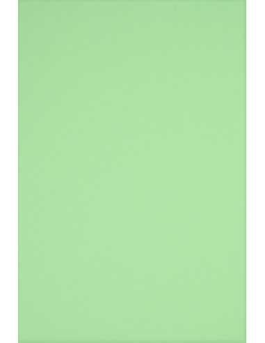 Bastelkarton Grün DIN A4 (210 x 297 mm) 230 g/m² Rainbow Farbe R75 - 20 Stück