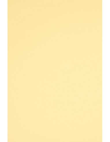 Bastelpapier Elfenbein DIN C1 (920 x 650 mm) 160 g/m² Rainbow Farbe R06