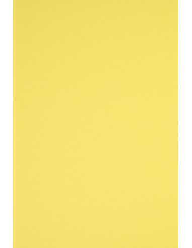 Bastelpapier Gelb DIN C2 (450 x 640 mm) 160 g/m² Rainbow Farbe R16 - 10 Stück