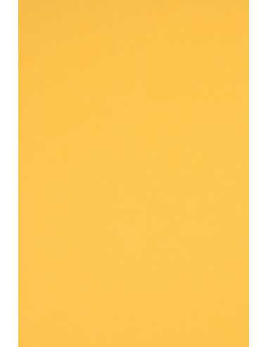 Bastelpapier Dunkelgelb DIN C2 (450 x 640 mm) 160 g/m² Rainbow Farbe R18 - 10 Stück