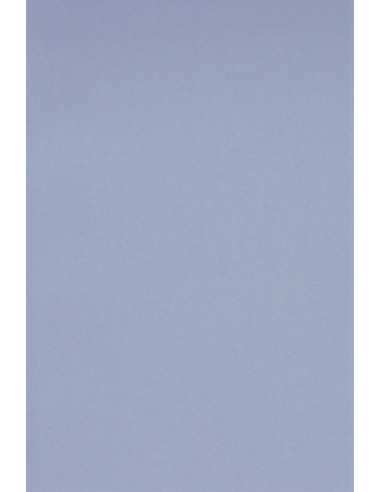 Bastelpapier Violette DIN C2 (450 x 640 mm) 160 g/m² Rainbow Farbe R60 - 10 Stück