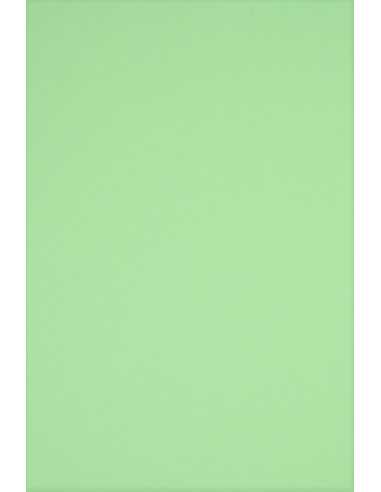 Bastelpapier Mint DIN C1 (920 x 650 mm) 160 g/m² Rainbow Farbe R75