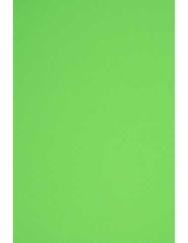 Bastelpapier Grün DIN C1 (920 x 650 mm) 160 g/m² Rainbow Farbe R76