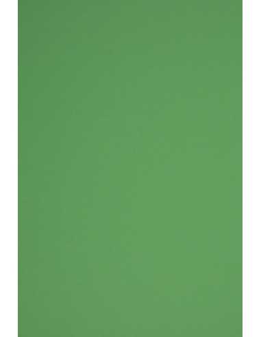 Bastelpapier Dunkelgrün DIN C2 (450 x 640 mm) 160 g/m² Rainbow Farbe R78 - 10 Stück