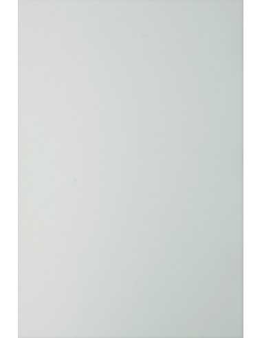 Bastelkarton Grau DIN A4 (210 x 297 mm) 210 g/m² Sirio Color Perla - 25 Stück