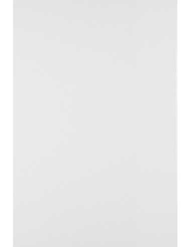 Bastelpapier Weiß DIN B2 (500 x 700 mm) 170 g/m² Offset - 25 Stück