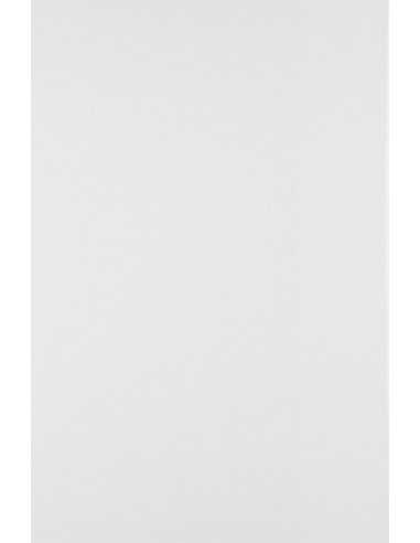 Bastelkarton Weiß DIN B2 (500 x 700 mm) 250 g/m² - 25 Stück