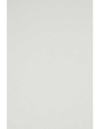 Bastelpapier Hellgrau DIN C1 (920 x 650 mm) 160 g/m² Rainbow Farbe R93