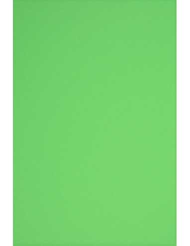 Bastelkarton Grün DIN A4 (210 x 297 mm) 230 g/m² Rainbow Farbe R76 - 20 Stück