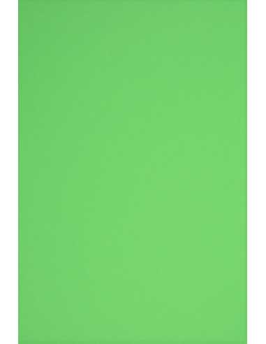 Bastelkarton Grün DIN B1 (700 x 1000 mm) 230 g/m² Rainbow Farbe R76