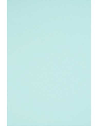 Bastelkarton Hellblau DIN B1 (700 x 1000 mm) 230 g/m² Rainbow Farbe R82