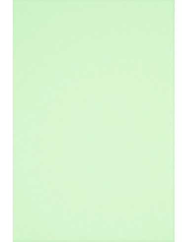 Bastelpapier Hellgrün DIN A4 (210 x 297 mm) 80 g/m² Rainbow Farbe R72 - 500 Stück