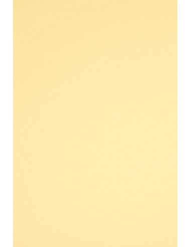 Bastelpapier Elfenbein DIN A4 (210 x 297 mm) 160 g/m² Rainbow Farbe R06 - 250 Stück