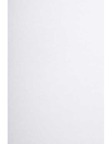 Bastelpapier Weiß DIN B2 (500 x 700 mm) 170 g/m² - 10 Stück