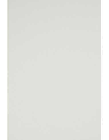 Bastelpapier Grau DIN A4 (210 x 297 mm) 160 g/m² Rainbow Farbe R93 - 250 Stück