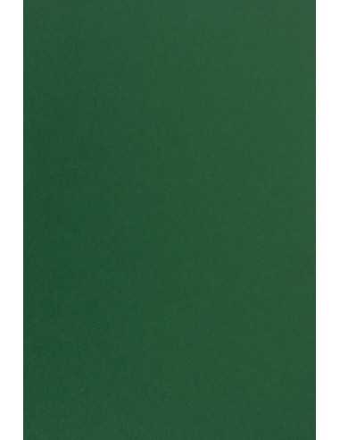 Bastelkarton Grün DIN B1 (700 x 1000 mm) 270g Kreative Emerald