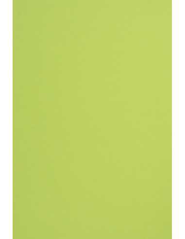 Bastelpapier Hellgrün DIN A5 (148 x 210 mm) 115 g/m² Sirio Color Lime - 50 Stück