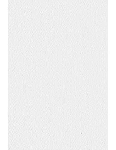 Strukturierter Bastelkarton Weiß DIN A4 (210 x 297 mm) 300 g/m² Tintoretto Gesso - 10 Stück