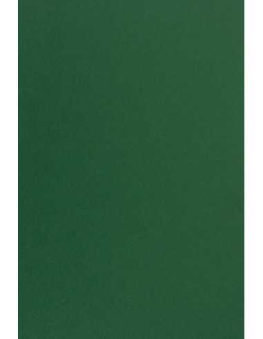 Ökologischer Kraftkarton Grün DIN A4 (210 x 297 mm) Kreativekarton 270 g/m² Emerald - 10 Stück