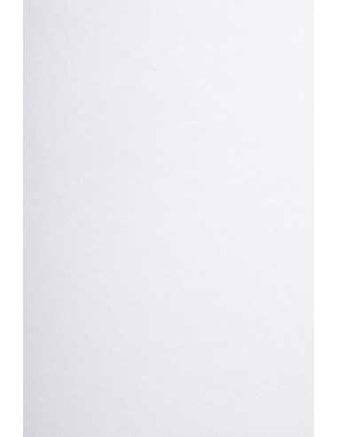 Bastelkarton Weiß DIN B1 (700 x 1000 mm) 300 g/m² Offset - 100 Stück