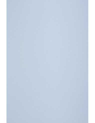 Ökologisches Bastelpapier Hellblau DIN A4 (210 x 297 mm) 160 g/m² Circolor Hibiscu - 250 Stück