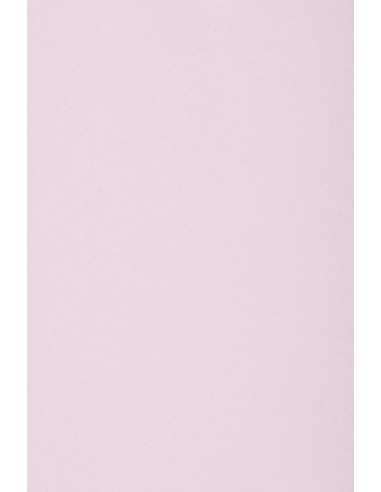 Ökologisches Bastelpapier Lila DIN A4 (210 x 297 mm) 160 g/m² Circolor Peony - 250 Stück