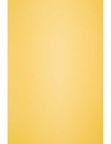 Ökologisches Bastelpapier Senf DIN A4 (210 x 297 mm) 160 g/m² Circolor Saffron - 250 Stück
