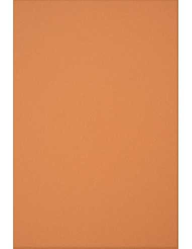 Ökologisches Bastelpapier Orange DIN A4 (210 x 297 mm) 160 g/m² Circolor Pumpkin - 250 Stück