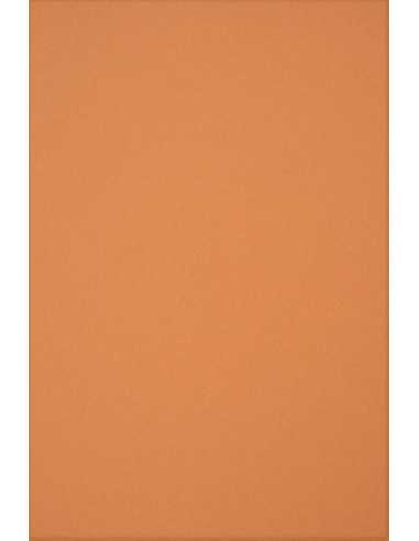 Ökologisches Bastelpapier Orange DIN A4 (210 x 297 mm) 160 g/m² Circolor Pumpkin - 25 Stück