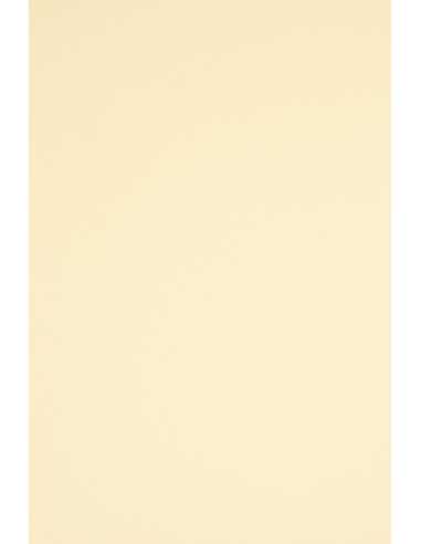 Ökologisches Bastelpapier Ecru DIN A4 (210 x 297 mm) 160 g/m² Circolor Jasmine - 250 Stück