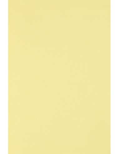 Ökologisches Bastelpapier Hellgelb DIN A4 (210 x 297 mm) 160 g/m² Circolor Camomile - 250 Stück