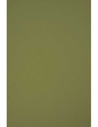 Ökologisches Bastelpapier Grün DIN A4 (210 x 297 mm) 80 g/m² Circolor Rosemary - 500 Stück