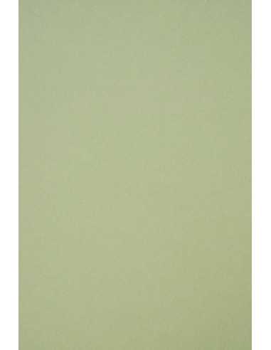 Ökologischer Bastelkarton Kiwi DIN A4 (210 x 297 mm) 250 g/m² Crush Kiwi - 10 Stück