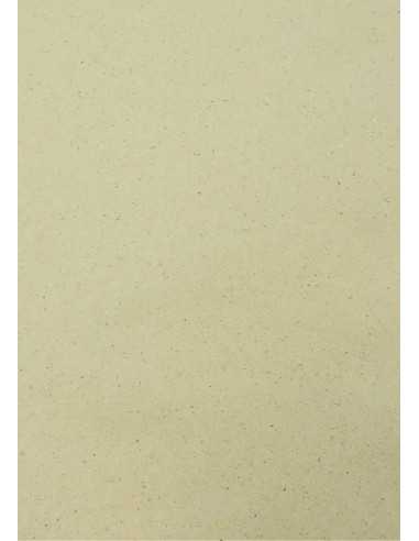 Ökologischer Graskarton Creme DIN B1+ (720 x 1020 mm) 250 g/m²