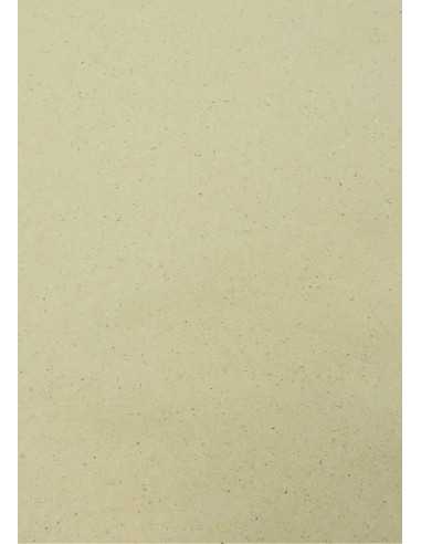 Ökologisches Graspapier Creme DIN A4 (210 x 297 mm) 120 g/m² - 10 Stück