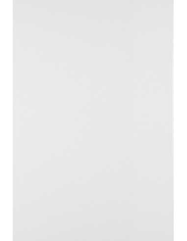 Bastelkarton Weiß DIN A4 (210 x 297 mm) 250 g/m² - 50 Stück