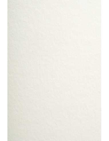 Bastelpapier Elfenbein DIN B1 (700 x 1000 mm) 120 g/m² Arena Rough Ivory