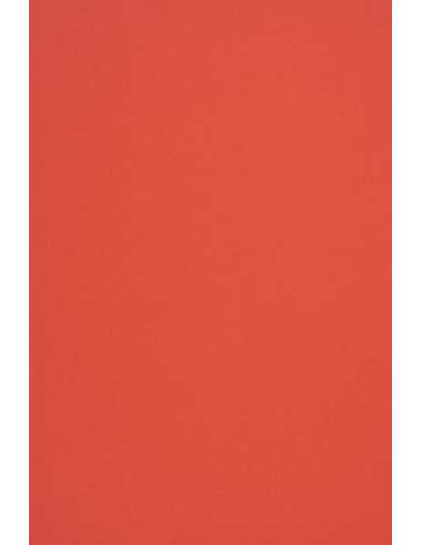 Ökologisches Bastelpapier Rot DIN B1 (700 x 1000 mm) 170 g/m² Woodstock Rosso