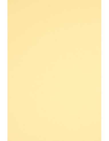 Bastelpapier Elfenbein DIN A3 (297 x 420 mm) 160 g/m2 Rainbow Farbe R06 - 10 Stück