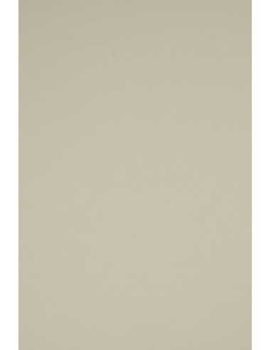 Bastelpapier Hellgrau DIN C2 (450 x 640 mm) 160 g/m2 Rainbow Farbe R93 - 10 Stück