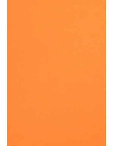 Bastelpapier Orange DIN B1 (700 x 1000 mm) 120 g/m² Malmero Orange