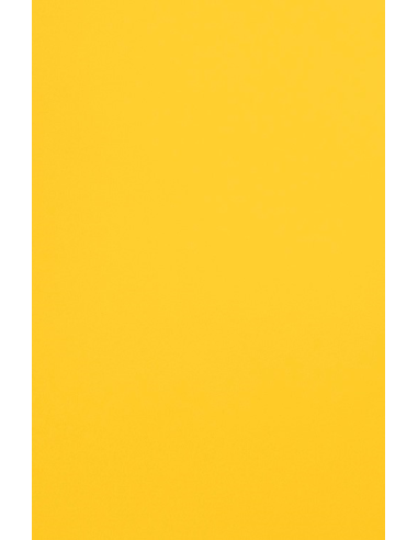 Bastelpapier Hellorange DIN B1 (700 x 1000 mm) 120 g/m² Malmero Mangue