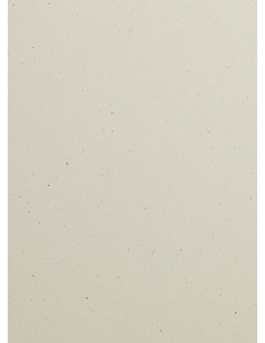 Ökologischer Bastelpapier Beige DIN B1+ (720 x 1020 mm) 130 g/m2 Flora Noce