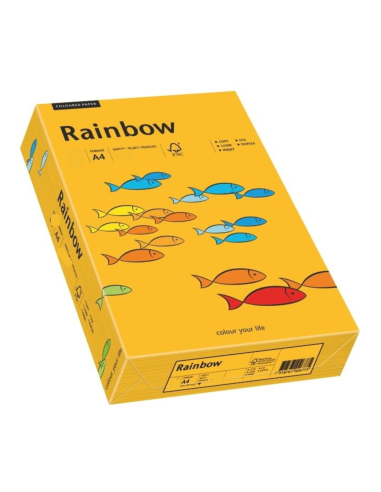 Bastelpapier Hellorange DIN A4 (210 x 297 mm) 80 g/m2 Rainbow Farbe R22 - 500 Stück