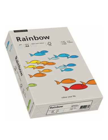 Bastelpapier Grau DIN A4 (210 x 297 mm) 160 g/m² Rainbow Farbe R96 - 250 Stück